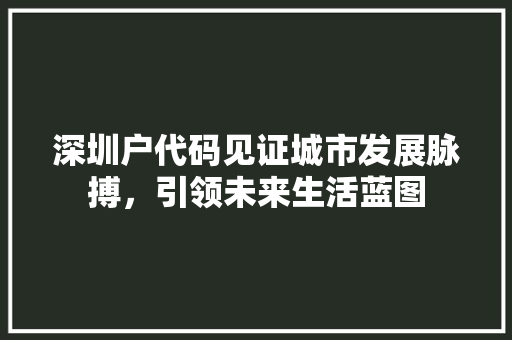 深圳户代码见证城市发展脉搏，引领未来生活蓝图
