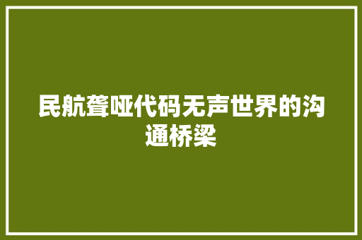 民航聋哑代码无声世界的沟通桥梁