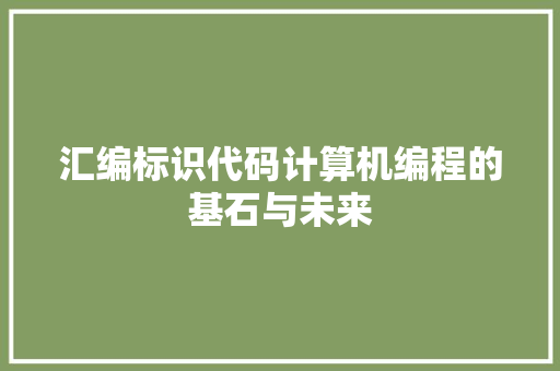 汇编标识代码计算机编程的基石与未来