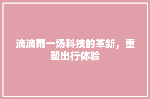 滴滴雨一场科技的革新，重塑出行体验