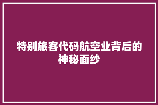 特别旅客代码航空业背后的神秘面纱
