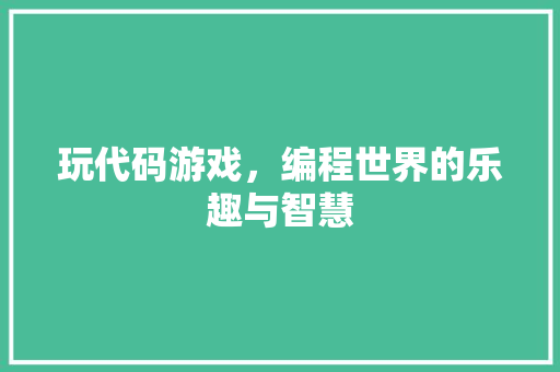 玩代码游戏，编程世界的乐趣与智慧