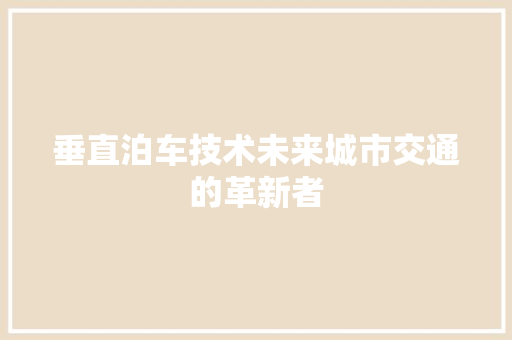 垂直泊车技术未来城市交通的革新者