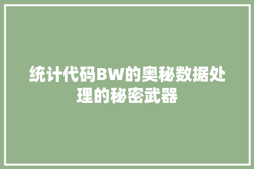 统计代码BW的奥秘数据处理的秘密武器