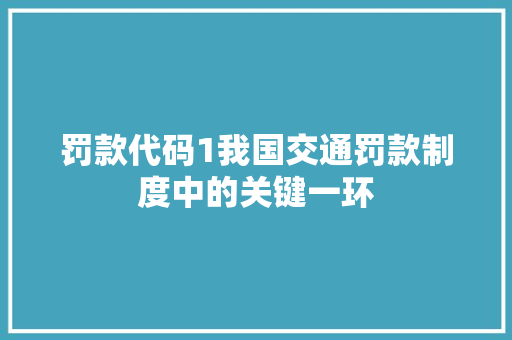 罚款代码1我国交通罚款制度中的关键一环