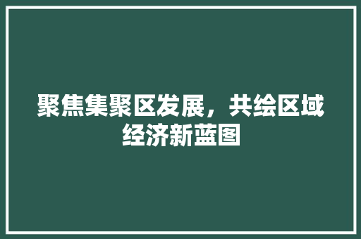 聚焦集聚区发展，共绘区域经济新蓝图