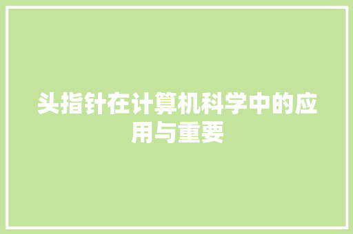 头指针在计算机科学中的应用与重要
