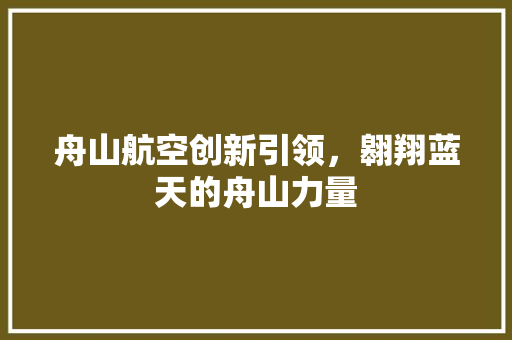 舟山航空创新引领，翱翔蓝天的舟山力量