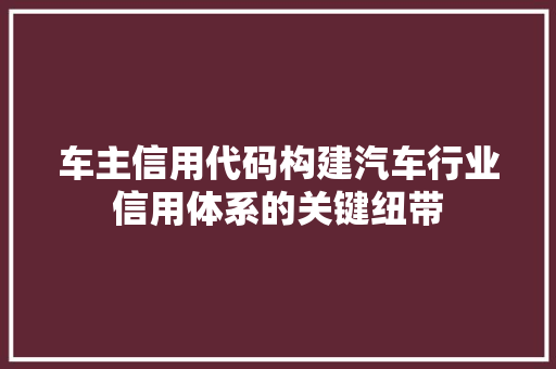 车主信用代码构建汽车行业信用体系的关键纽带