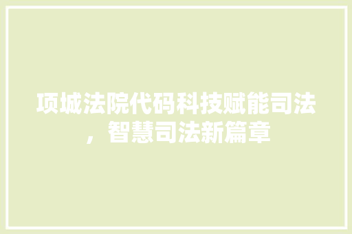 项城法院代码科技赋能司法，智慧司法新篇章