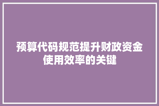 预算代码规范提升财政资金使用效率的关键
