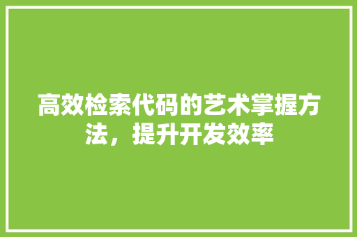 高效检索代码的艺术掌握方法，提升开发效率