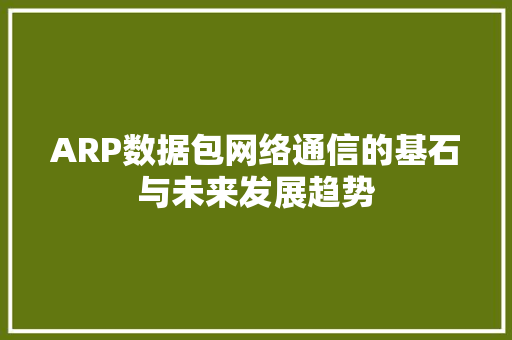 ARP数据包网络通信的基石与未来发展趋势