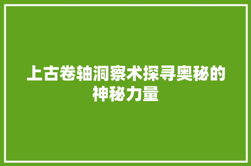 上古卷轴洞察术探寻奥秘的神秘力量