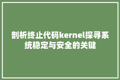 剖析终止代码kernel探寻系统稳定与安全的关键
