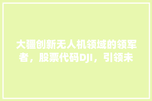 大疆创新无人机领域的领军者，股票代码DJI，引领未来科技浪潮