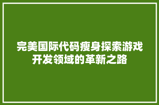 完美国际代码瘦身探索游戏开发领域的革新之路