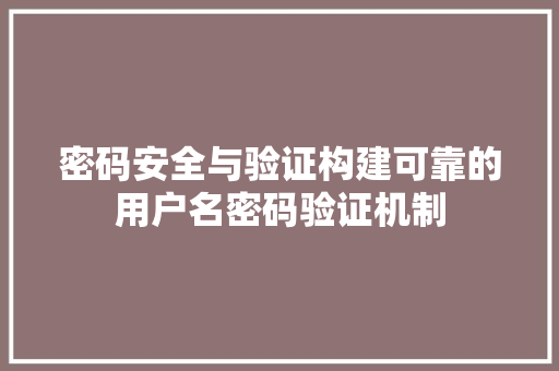 密码安全与验证构建可靠的用户名密码验证机制
