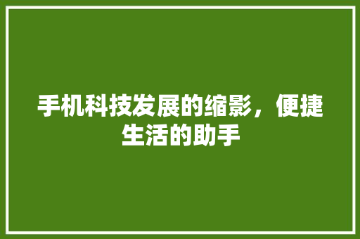 手机科技发展的缩影，便捷生活的助手