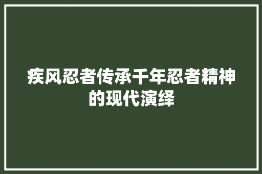 疾风忍者传承千年忍者精神的现代演绎
