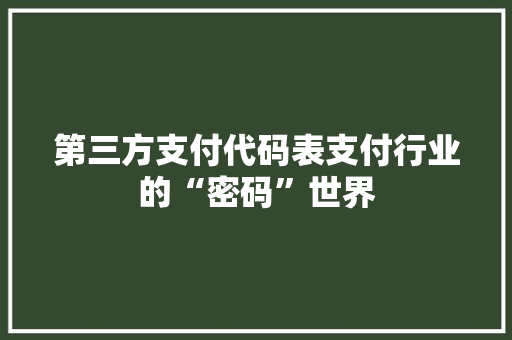 第三方支付代码表支付行业的“密码”世界