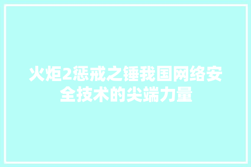 火炬2惩戒之锤我国网络安全技术的尖端力量