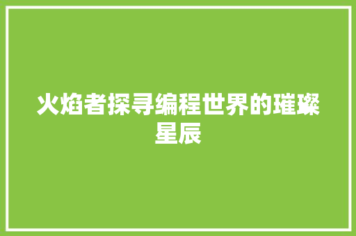 火焰者探寻编程世界的璀璨星辰