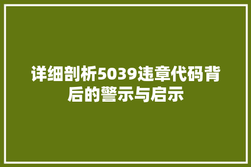 详细剖析5039违章代码背后的警示与启示