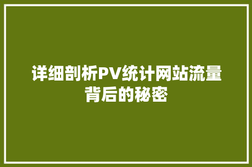 详细剖析PV统计网站流量背后的秘密