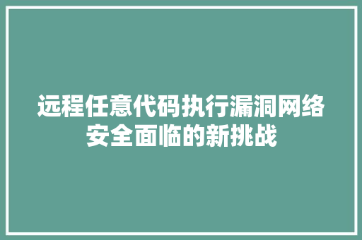 远程任意代码执行漏洞网络安全面临的新挑战