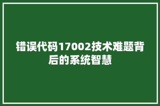 错误代码17002技术难题背后的系统智慧