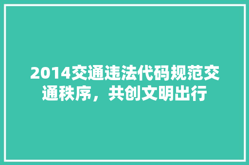 2014交通违法代码规范交通秩序，共创文明出行