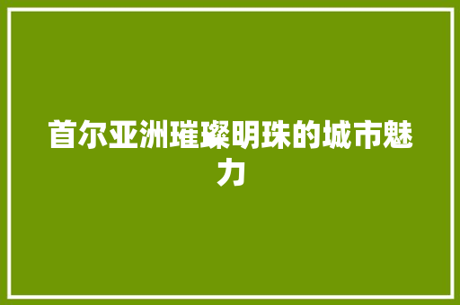 首尔亚洲璀璨明珠的城市魅力