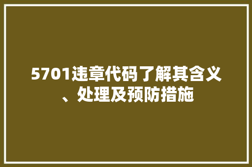 5701违章代码了解其含义、处理及预防措施