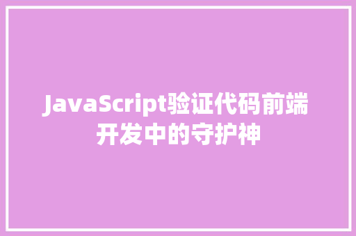 JavaScript验证代码前端开发中的守护神