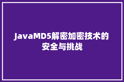 JavaMD5解密加密技术的安全与挑战