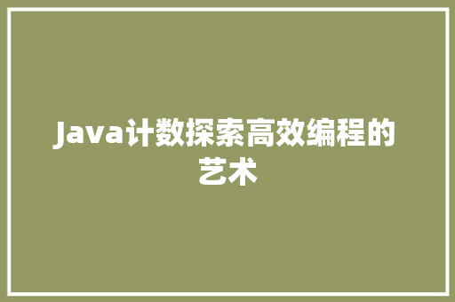 Java计数探索高效编程的艺术
