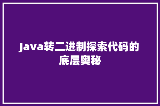 Java转二进制探索代码的底层奥秘