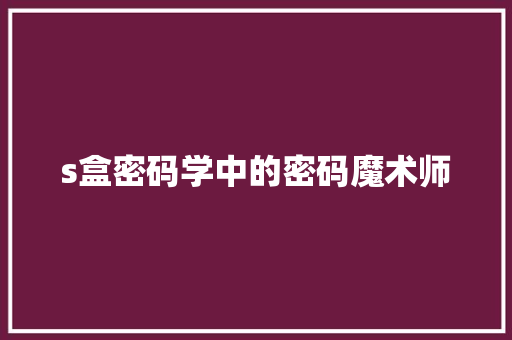 s盒密码学中的密码魔术师