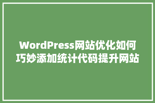 WordPress网站优化如何巧妙添加统计代码提升网站运营效果