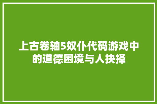 上古卷轴5奴仆代码游戏中的道德困境与人抉择