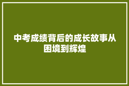中考成绩背后的成长故事从困境到辉煌