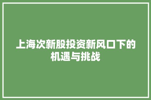 上海次新股投资新风口下的机遇与挑战