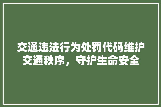 交通违法行为处罚代码维护交通秩序，守护生命安全