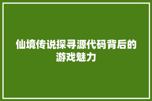 仙境传说探寻源代码背后的游戏魅力