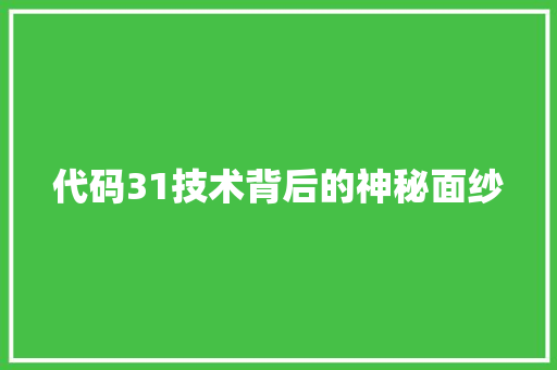 代码31技术背后的神秘面纱
