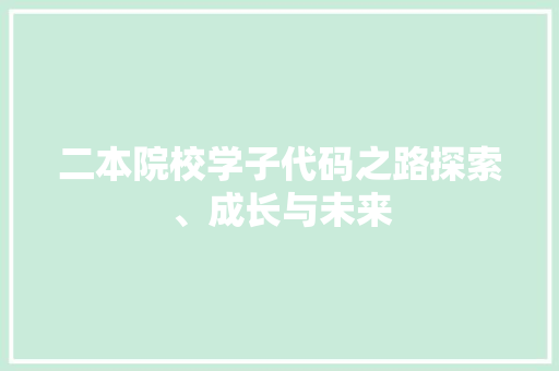 二本院校学子代码之路探索、成长与未来