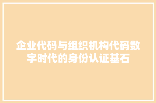 企业代码与组织机构代码数字时代的身份认证基石
