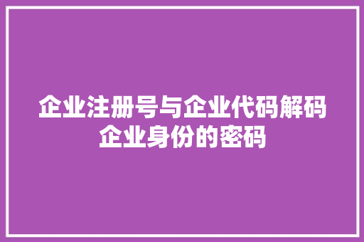 企业注册号与企业代码解码企业身份的密码