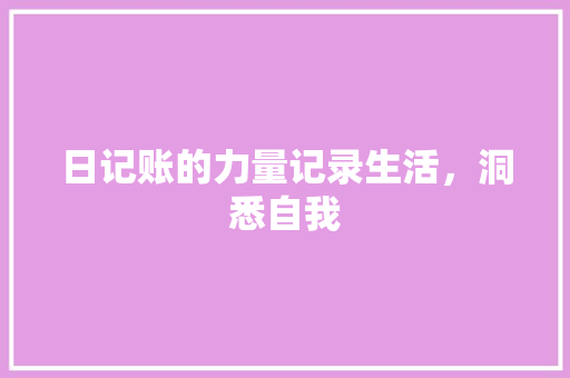 日记账的力量记录生活，洞悉自我